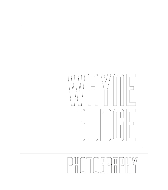 Wayne Budge Photography